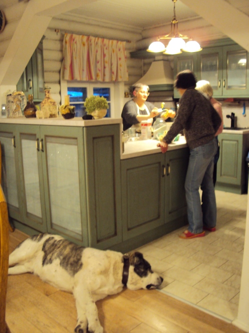 location: kitchen with dog